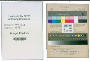 Entnazifizierung Friedrich Hoegel , geb. 08.06.1910 (Angestellter)