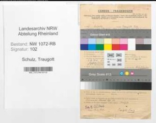 Entnazifizierung Traugott Schulz , geb. 10.02.1912 (Tischler)