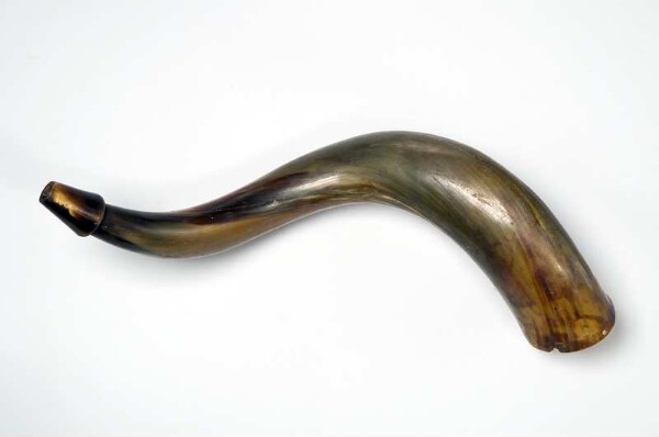 Longitudinal horn