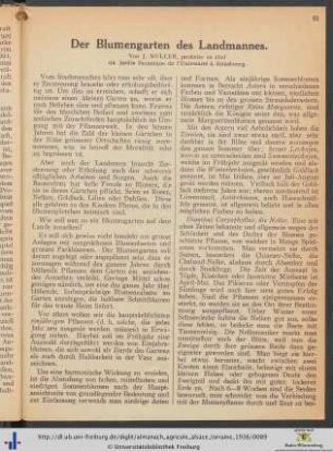 Der Blumengarten des Landmannes.