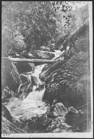 Ashland, Oregon. Ashland Creek Canyon