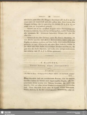 V. Kapitel. Zweite Gattung. Lepas. (Entenmuschel)