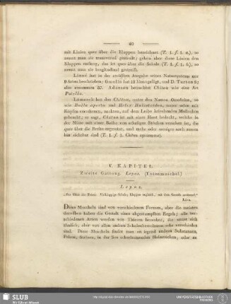 V. Kapitel. Zweite Gattung. Lepas. (Entenmuschel)