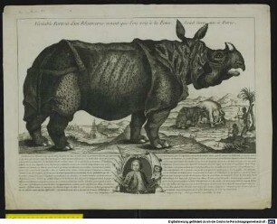 Véritable Portrait d'un Rhinoceros vivant que l'on voit à la Foire Saint Germain à Paris.