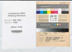 Entnazifizierung Peter Weber, geb. 20.02.1902 (Verw.Angest.)