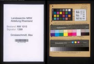 Entnazifizierung Max Grosseschmidt , geb. 09.10.1897 (Drogist)