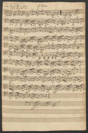 1ste Violine