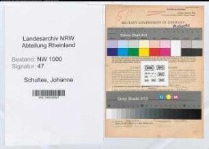 Entnazifizierung Johanne Schultes, geb. 06.06.1919 (Hauswirtschafterin)