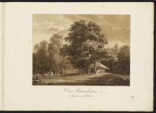 Ansicht vom Bauerhaus in Machern, Radierung, 1799 : Bauerhaus im Garten zu Machern. - 1799. - 1 Kunstbl. : Radierung. ; 38 x 27 cm
