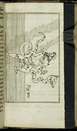 Fig. XV.