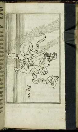 Fig. XV.