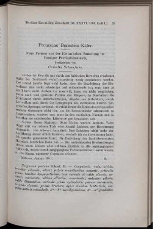 Preussens Bernstein-Käfer.