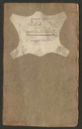 Urkunden zur Mainbrückenrechnung des Jahres 1798