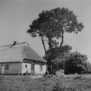 Freesenort auf Ummanz. Bauern- oder Fischerhaus