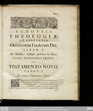 Caput I. De natura Testamenti Novi.
