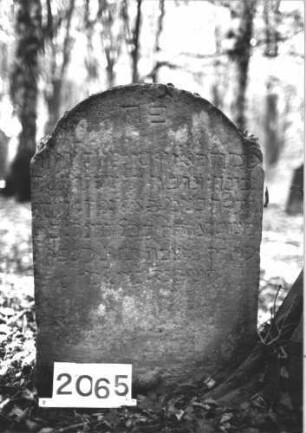 Grabstein 2065