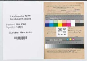 Entnazifizierung Hans Anton Gueldner, geb. 29.08.1908 (Richter)