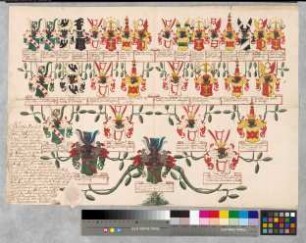 Proband: Kerckerinck, Caspar Nikolaus Mauritz von; Vater: Kerckerinck, Jobst Stephan von; Mutter: Ketteler, Maria Agnes Dorothea von: [Münster, Domkapitel]