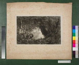 Hirsch auf Lichtung