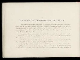 VI. Gegenwärtige Beschaffenheit der Fabrik.