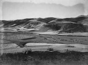 Futtergetreide : Blick auf abgeerntete Weizenfelder, die Ernte wird in großen Häufen gelagert.