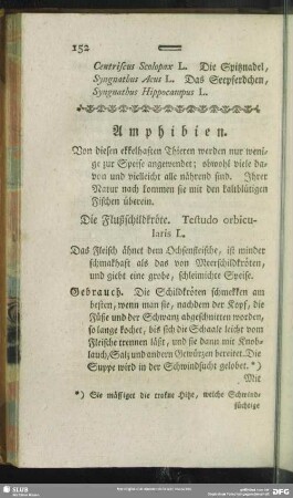 Amphibien
