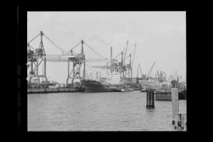 Columbus Tasmania ex Santa Rosa (1976), HSDG, Hamburg