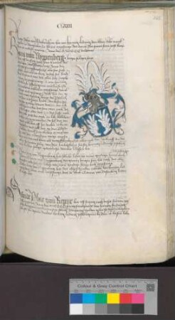 Hans von Nippenburg