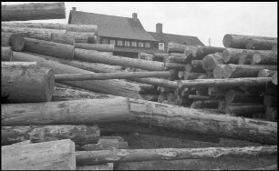 Neustadt: Sägewerk J. Himmelsbach, Baumstämme auf dem Stapel