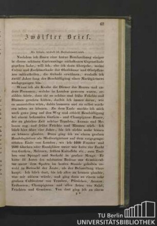 Zwölfter Brief. Die Gründe, weshalb ich Marktgärtnerei trieb.