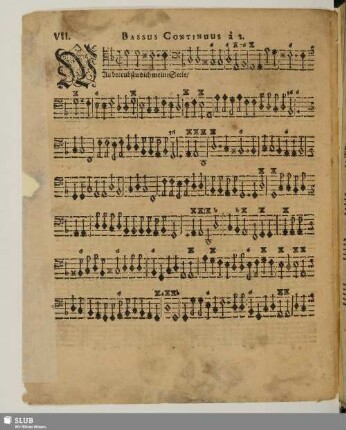 VII. Was betrübst du dich