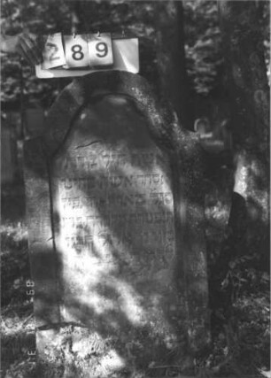 Grabstein 289 (Index: 99609926) Material: Sandstein Zustand: verwittert Maße HxBxT: 104x58x11 cm Beschreibung: Stele, Konvexbogenabschluß, Schriftfeld eingetieft: Grabstein 289