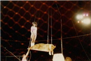 Circus Williams-Althoff Scott, Mannheim, 1990