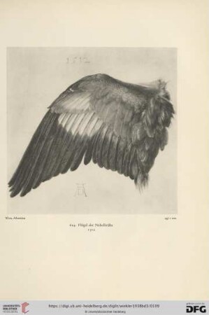 Weltliche Darstellungen (Tiere, Vorzeichnungen zu Bilddrucken, Studienblätter und Verwandtes). 1511-1520
