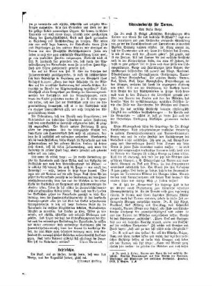 Literaturbericht für Turnen