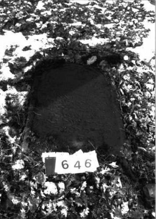 Grabstein 646