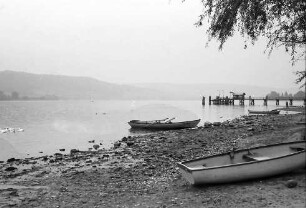 Wangen: Ausgetrockneter Untersee bei Wangen