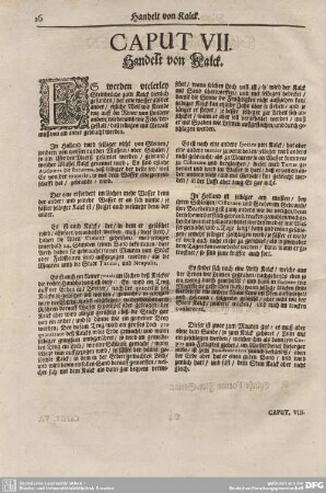 Caput VII. Handelt von Kalck.