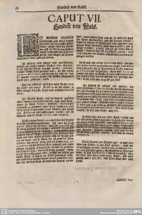 Caput VII. Handelt von Kalck.