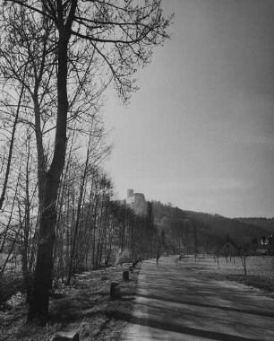 Archivfotografie "neckar_guttenberg_on"