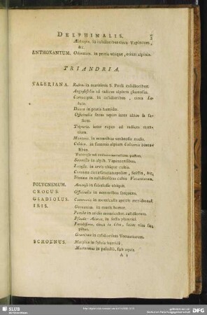 Triandria