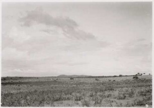 Offenes Grasland, dahinter Inselberge, Mato Grosso do Sul
