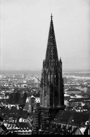 Freiburg: Münster vom Kanonenweg