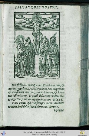 Theoria 11 - 20