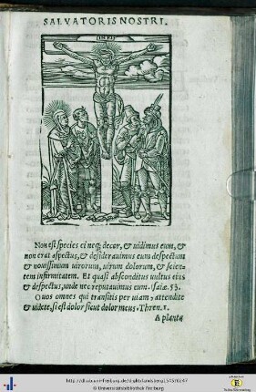 Theoria 11 - 20