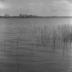 Teupitzer Seenlandschaft. Gewitterwolken.