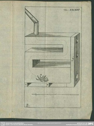 Tab. XXXIII [XXXIV].