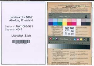 Entnazifizierung Erich Liposchek , geb. 17.07.1921 (Kaufmann)
