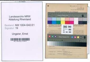Entnazifizierung Ernst Ungerer , geb. 31.05.1901 (Verw.Angestellter)