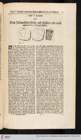 Das X. Capitel. Von dem indianischen Salz und Agstein wie auch anderen Mineralischen Säfften